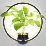 illuminations plants appliques LED
