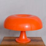 éclairage nordique champignon