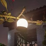 lampe rechargeable Gloriosa