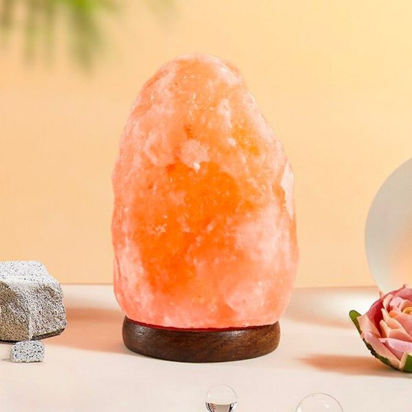 véritable lampe de sel d'Himalaya