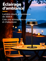 Lampe de table solaire rechargeable pour éclairage extérieur